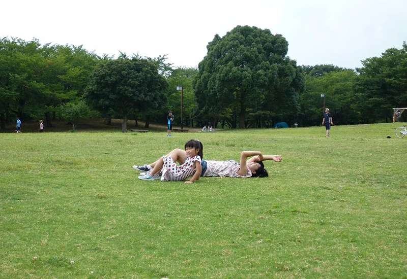 千葉県立柏の葉公園